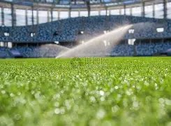 英超减分重,创諾丁漢森,降级危机加,188bet金宝博体育官网,188Bet,SPORTS,188bet金宝博体育中国官网,188Bet体育平台,188bet金宝博体育服务