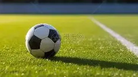 于帕梅卡诺归队合练，昨日休整的凯恩今日参与训练